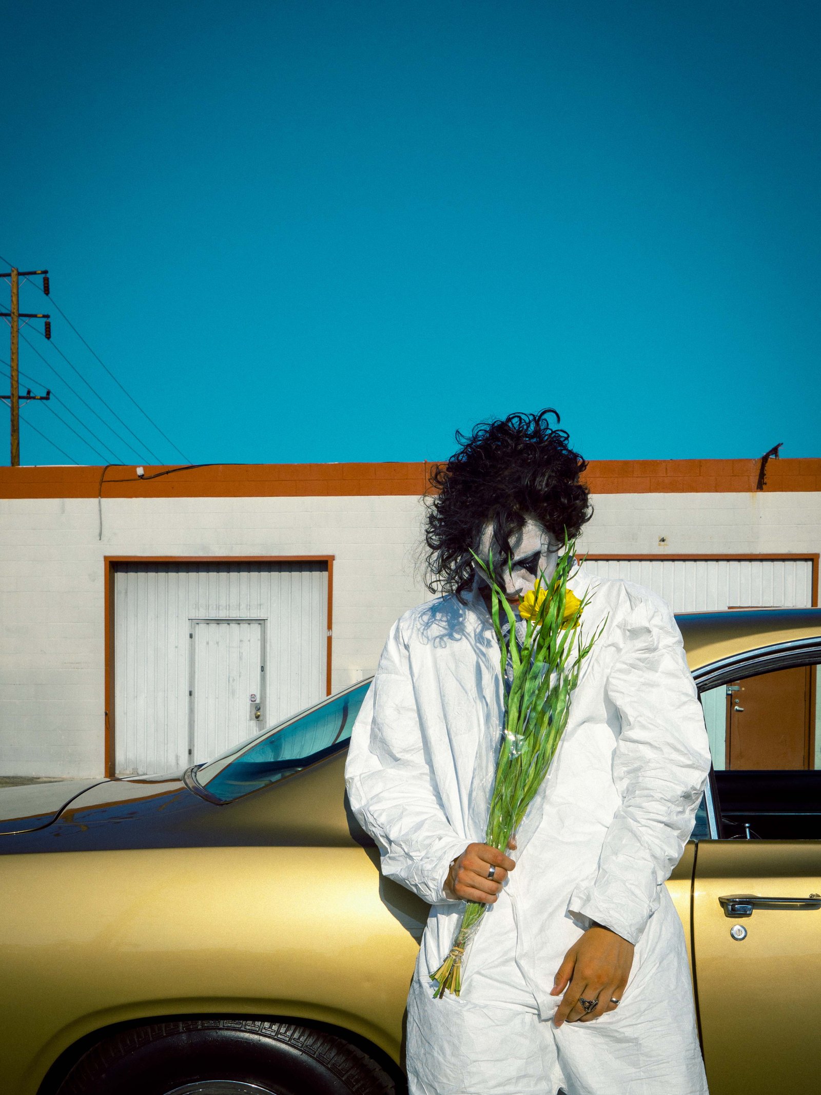 Cosimo Car Roses